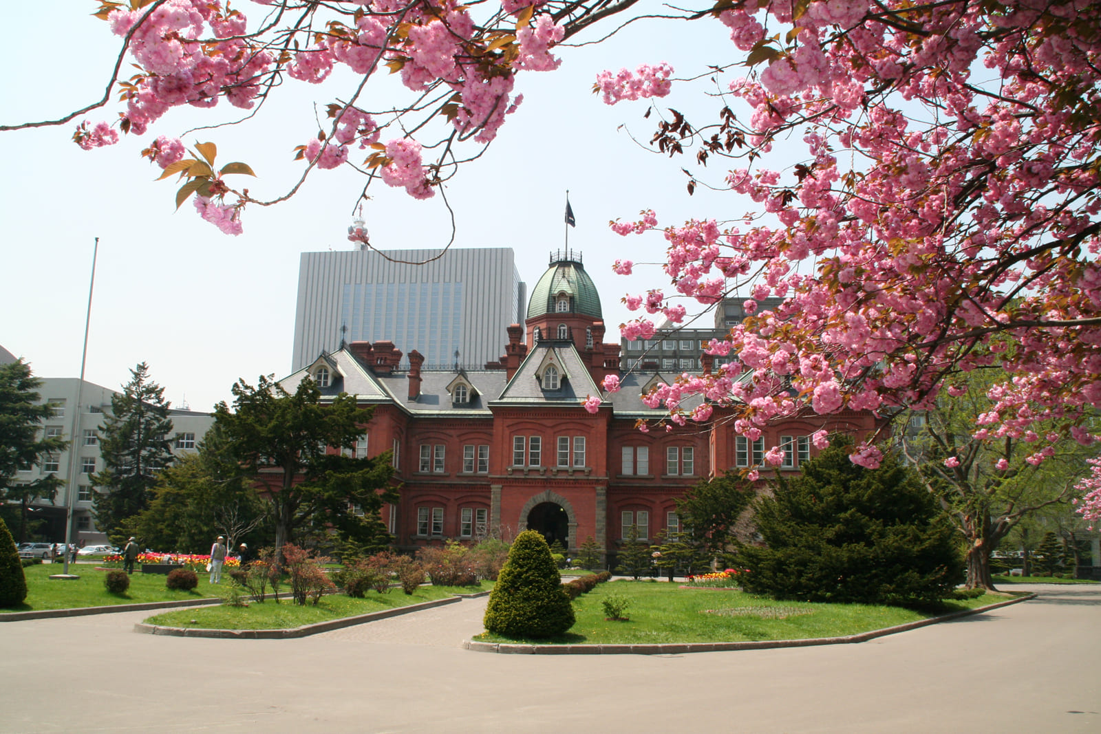 北海道庁旧本庁舎　札幌　桜　おすすめ　春　北海道　旅行　観光　スポット　5月