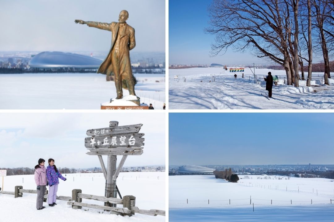 さっぽろ羊ヶ丘展望台　札幌　観光　冬　おすすめ　北海道　旅行　12月　1月　2月