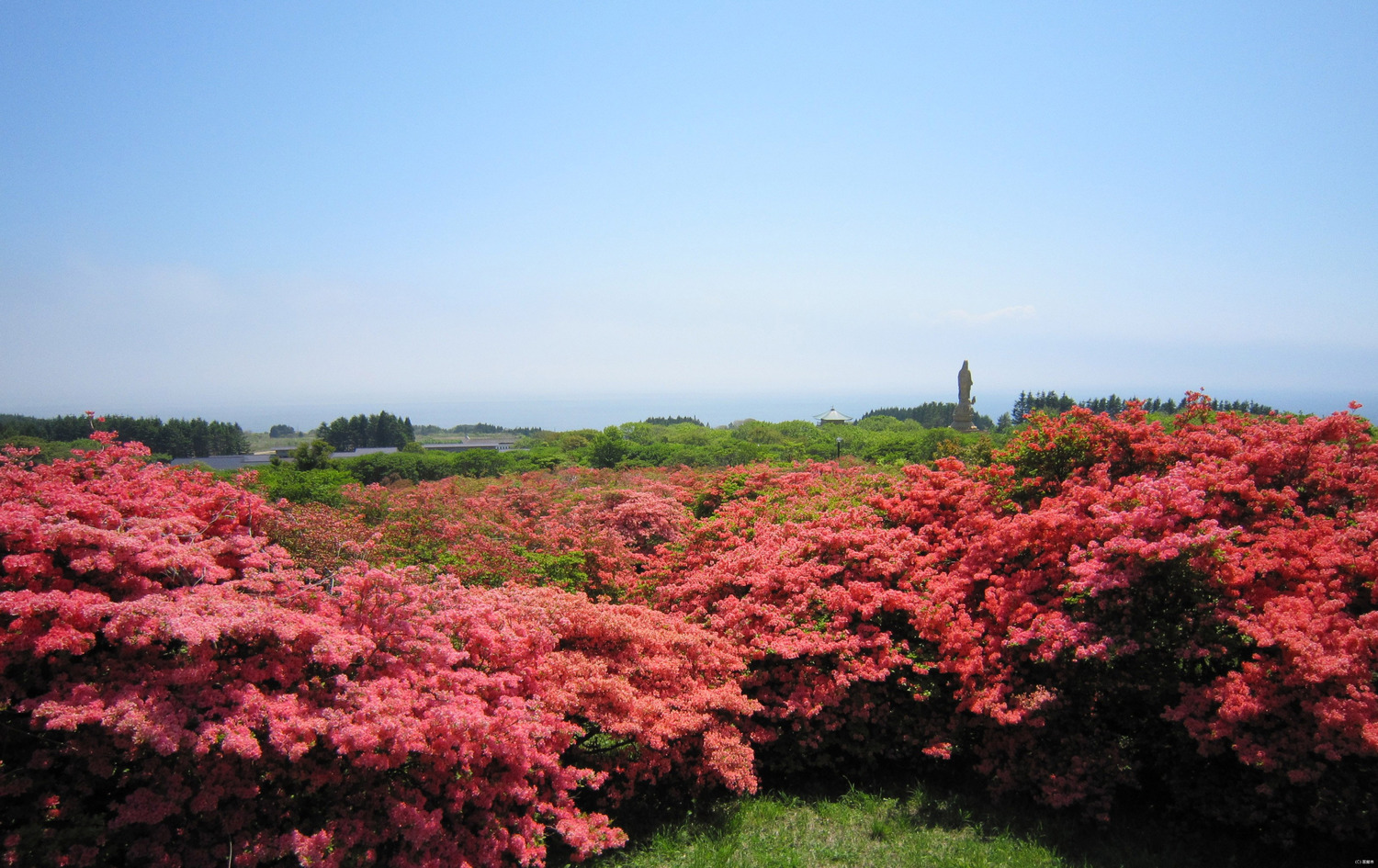 恵山　函館 市　絶景 スポット　自然　景色　北海道　道南　旅行　観光　
