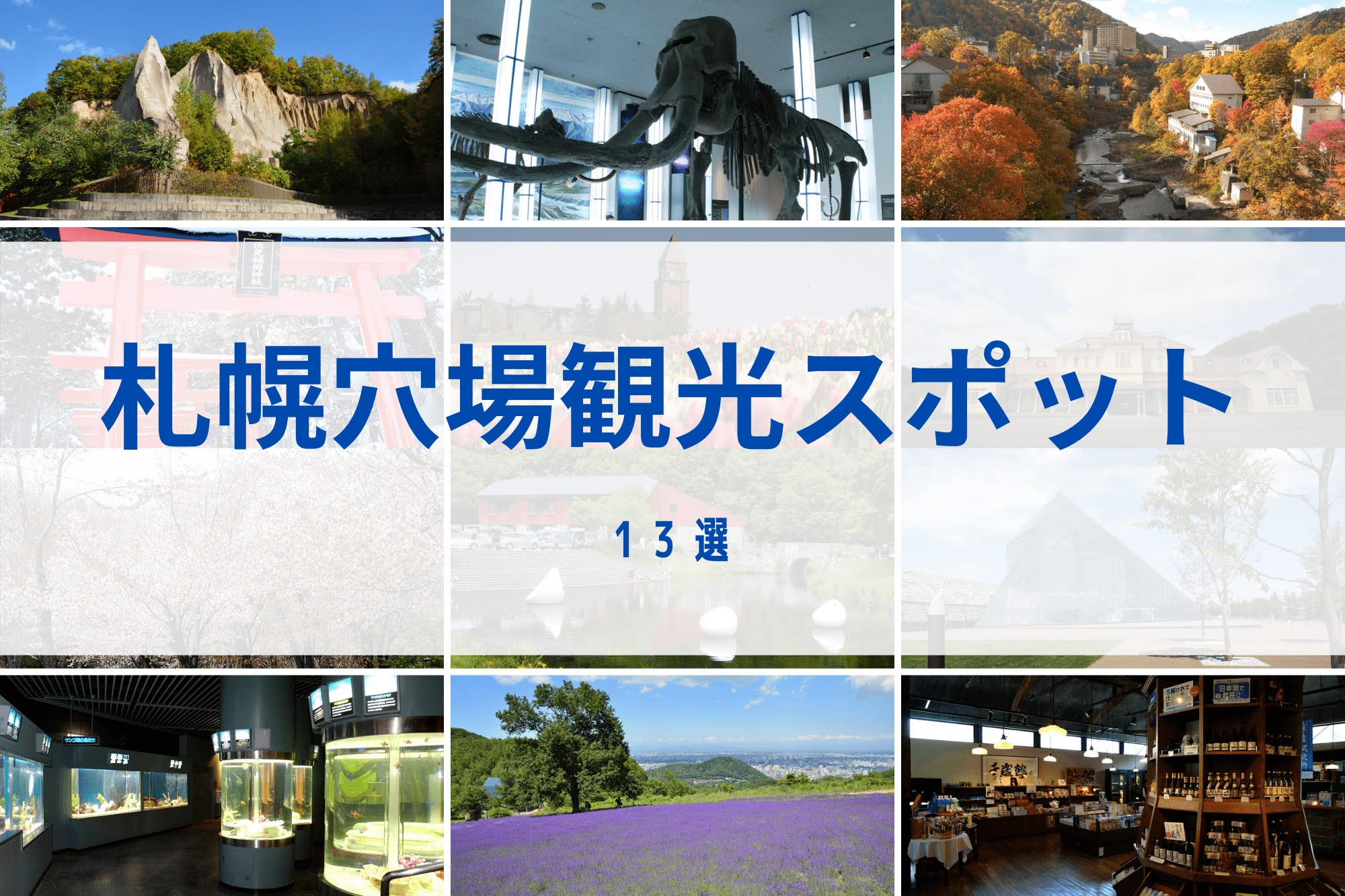 活動歴および当時の関連ビジュアル記録