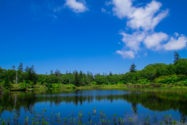 神仙沼　共和町　北海道　絶景　夏　観光　旅行　自然　景色　おすすめ