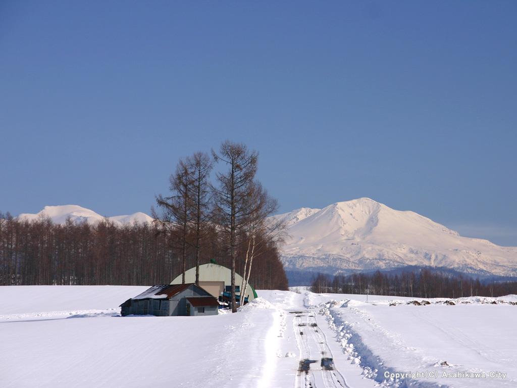 旭岳　冬　12月　1月　2月　旭川　観光　スポット　おすすめ　旅行　北海道　