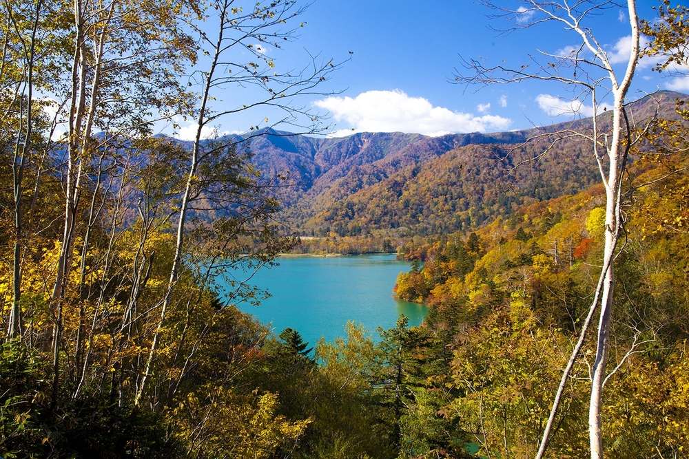 オコタンペ湖　千歳市　北海道　湖　一覧　旅行　観光　自然　おすすめ　景色