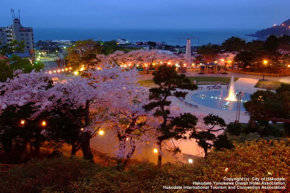 函館公園　函館 市　絶景 スポット　自然　景色　北海道　道南　旅行　観光　