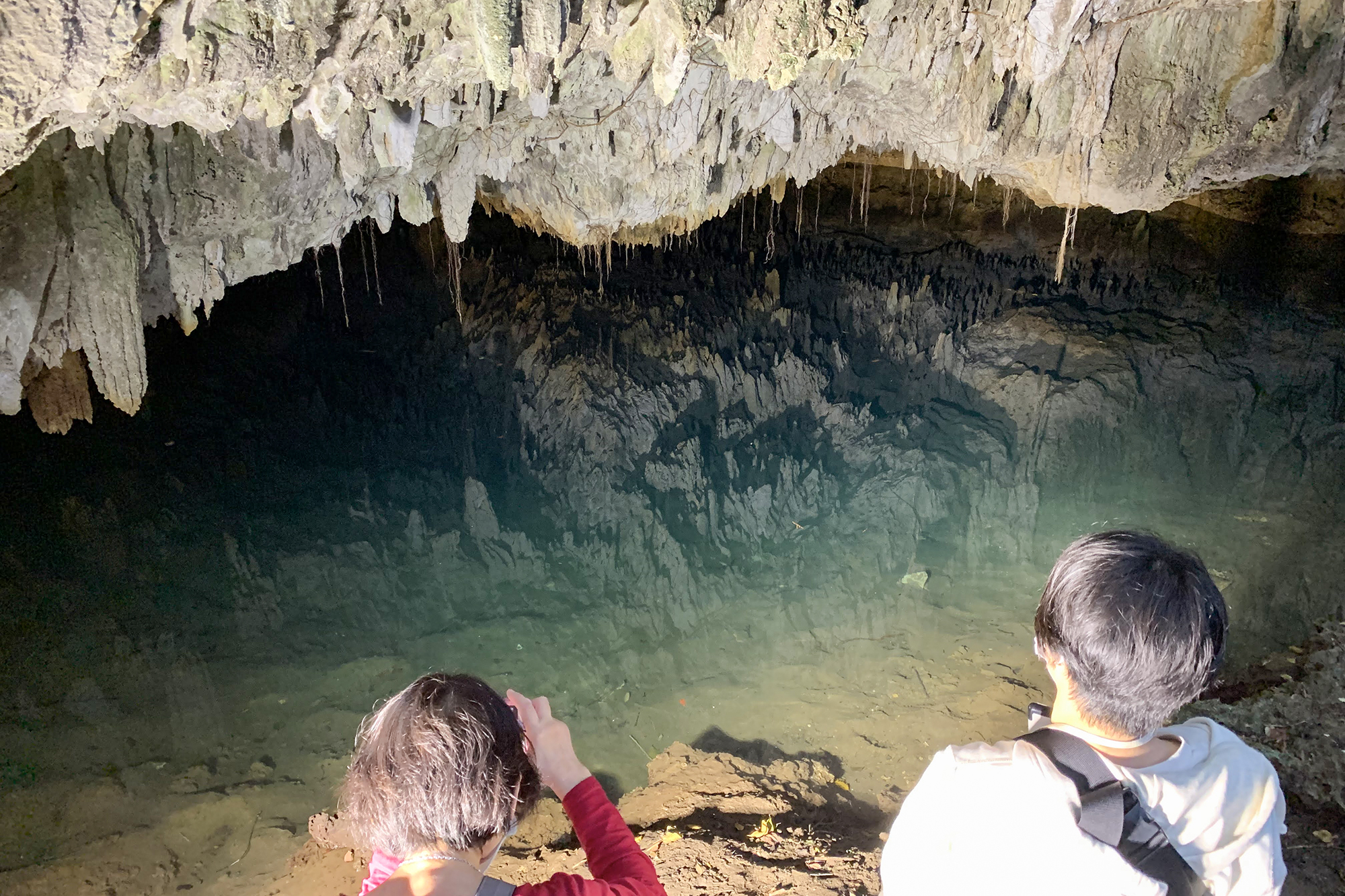 認定エコツアーガイド常さんと行く！ディープな徳之島の旅 | 九州の