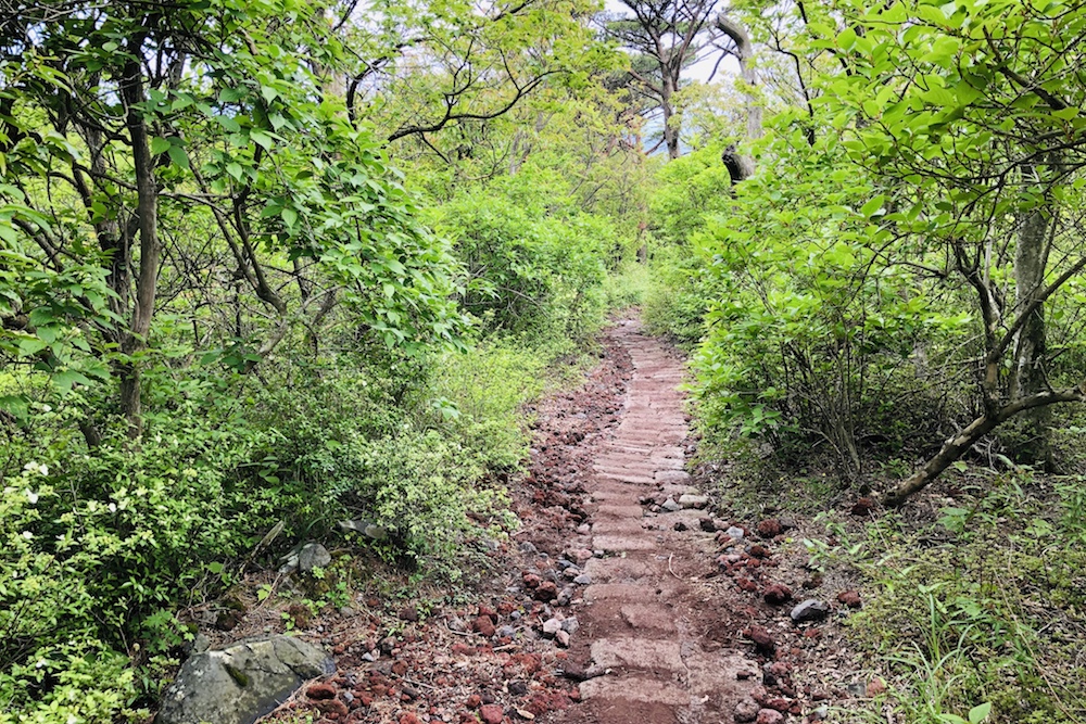 石畳み〜赤土〜ミヤマキリシマ・次々に変化する山道