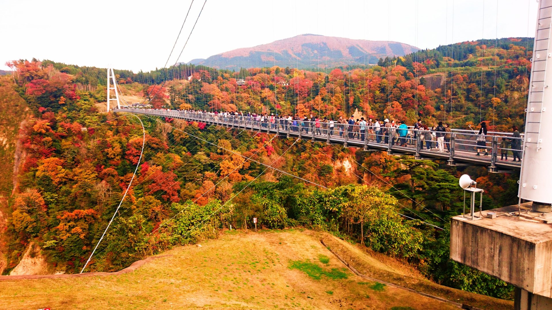 九重“夢”(ここのえ ゆめ)大吊橋　玖珠郡九重町　大分県　観光　名所　人気　おすすめ　九州　旅行