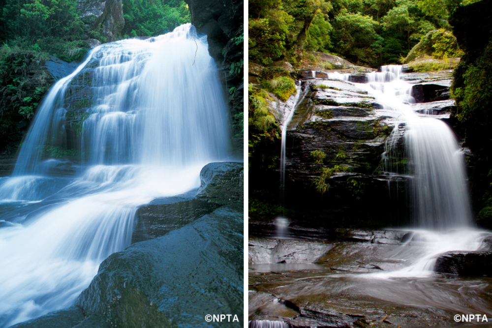 西海市　長崎県　つがね落しの滝　九州　絶景　滝　自然　観光　旅行　おすすめ