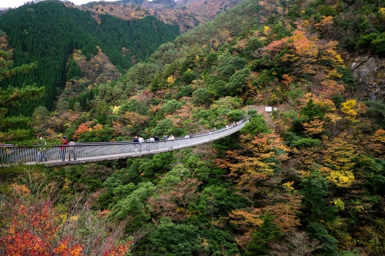 八代市　梅の木轟公園　熊本　絶景　景色　自然　九州　旅行　観光　おすすめ