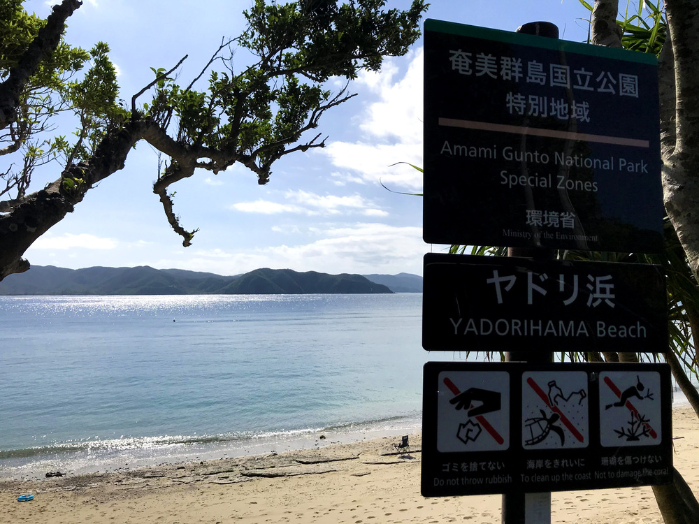 ヤドリ浜　奄美大島　南部　海水浴　おすすめ　ビーチ