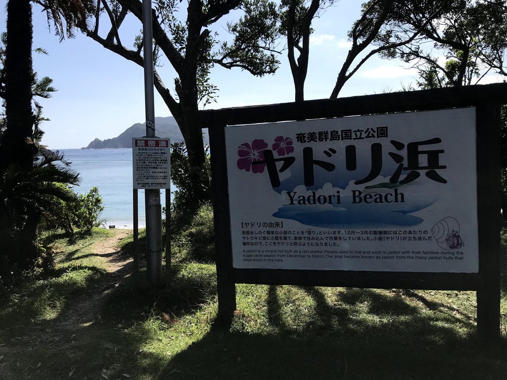 奄美大島　瀬戸内町　ヤドリ浜　キャンプ　ビーチ