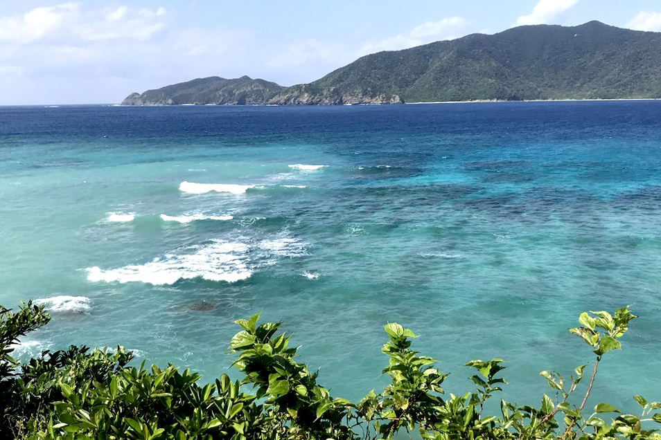 奄美大島の奥座敷･宇検村の屋鈍海岸は極上のブルーだった！