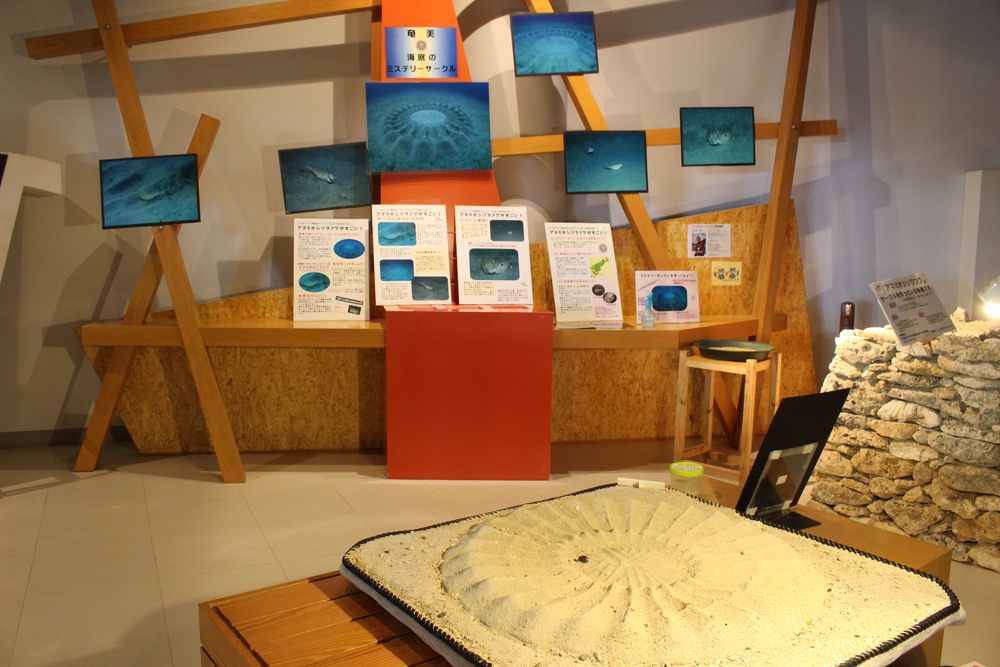 奄美海洋展示館　奄美大島　南部　海水浴　おすすめ　ビーチ