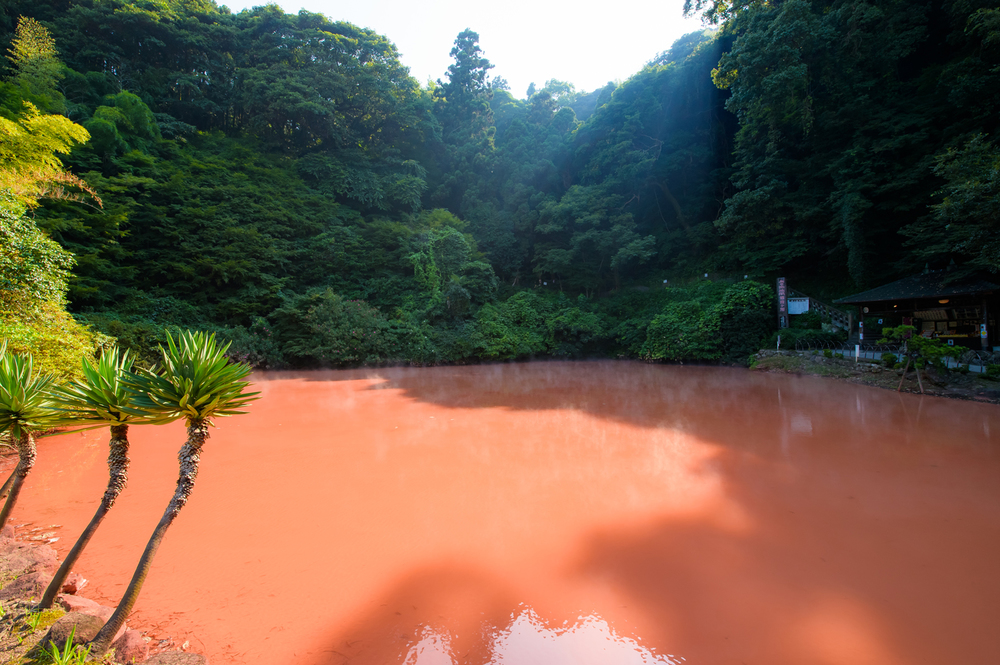 血の池地獄　別府市　大分　絶景　景色　自然　おすすめ　スポット　旅行　観光　九州