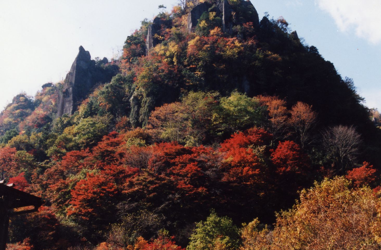 耶馬渓　中津市　大分　絶景　景色　自然　おすすめ　スポット　旅行　観光　九州