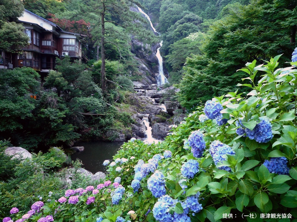 佐賀県　唐津市　見帰りの滝　九州　絶景　滝　自然　観光　旅行　おすすめ