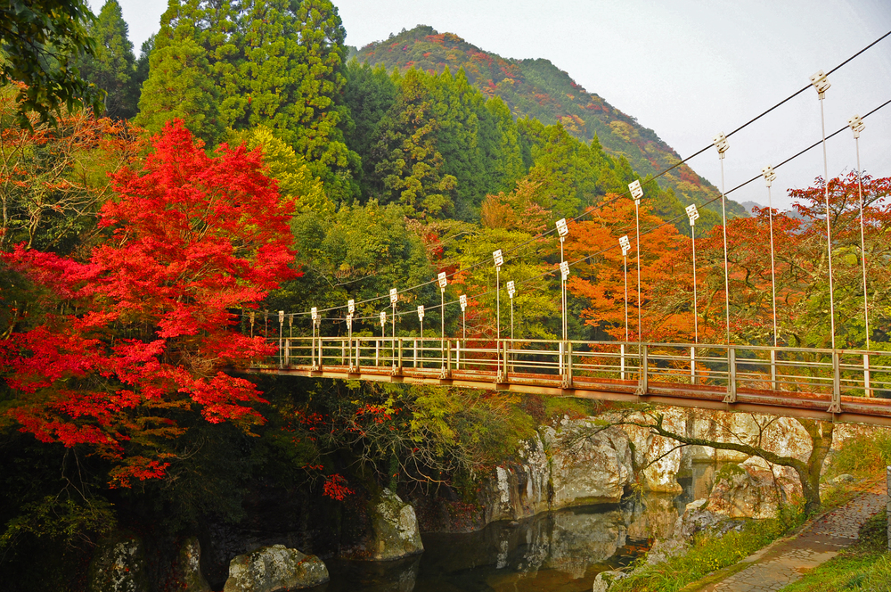猿飛千壺峡　耶馬溪　大分　絶景　景色　自然　おすすめ　スポット　旅行　観光　九州