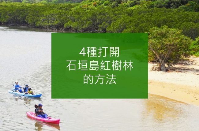 4種打開石垣島紅樹林的方法！充分體感沖繩豐饒的大自然