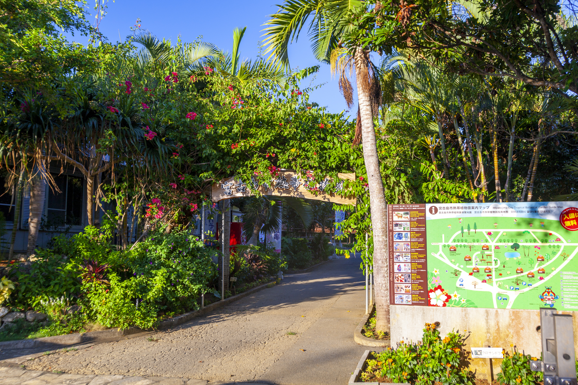 1600種類以上の植物が生育 宮古島市熱帯植物園 沖縄の観光情報はfeel Okinawa