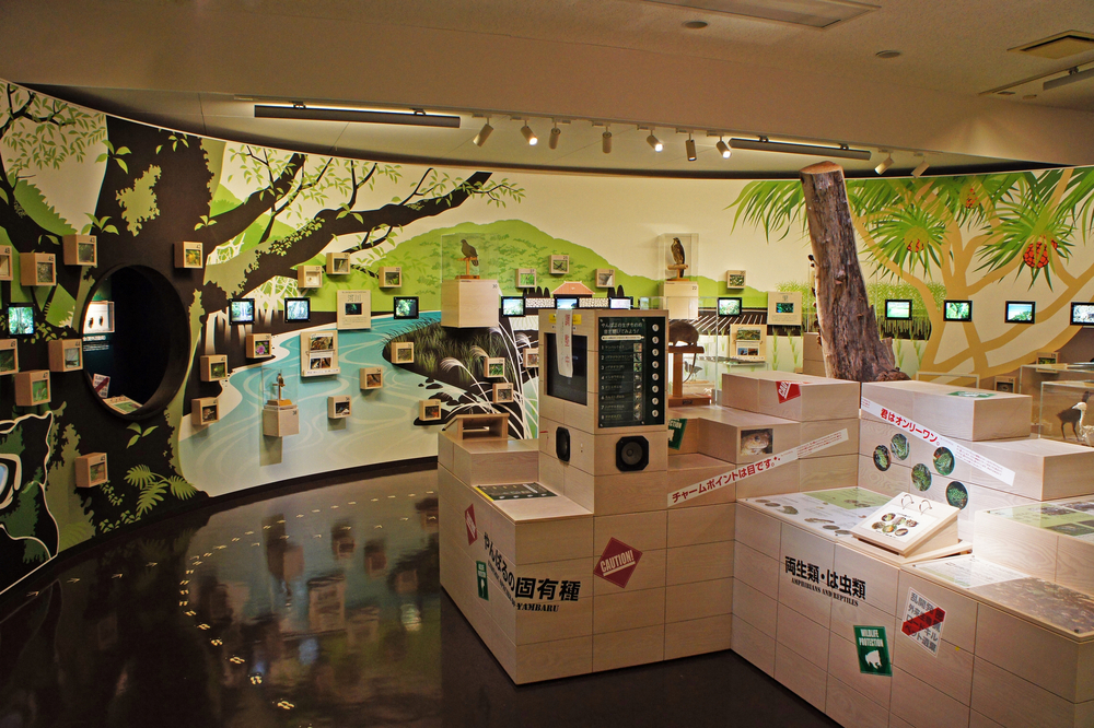 やんばる野生生物保護センター ウフギ―自然館　国頭村　観光　沖縄　旅行　おすすめ