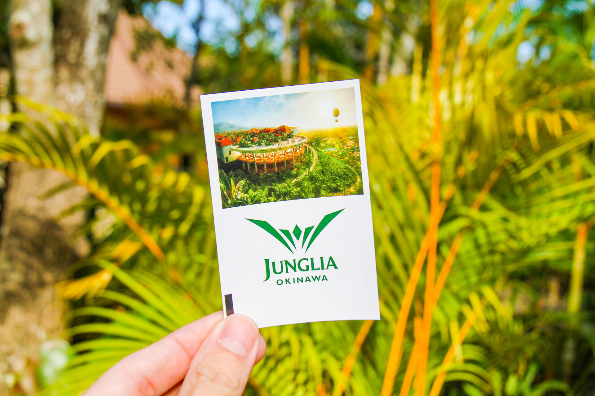 ジャングリア沖縄　今帰仁村　テーマパーク　旅行　観光　チケット