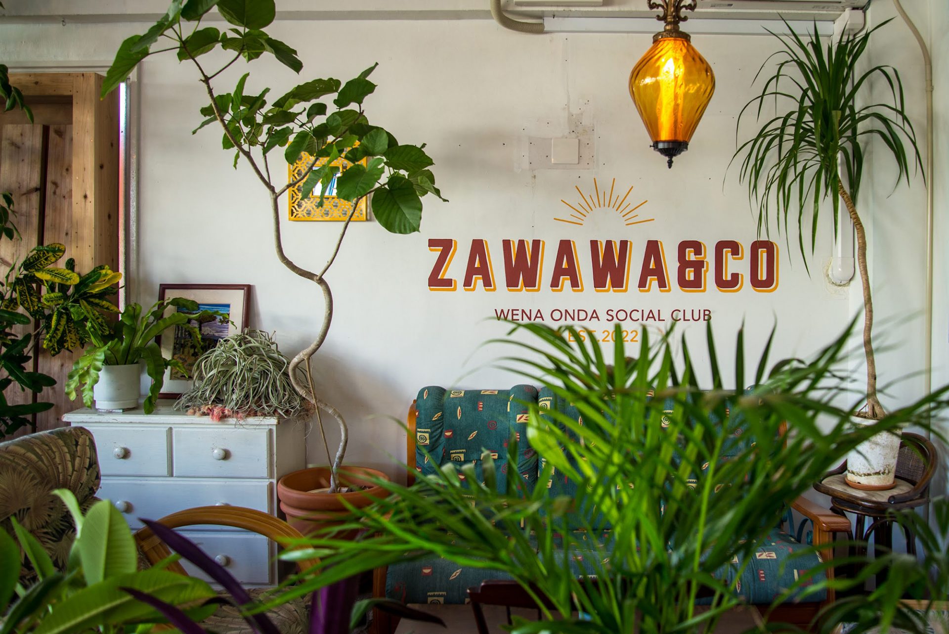 ZAWAWA & Co.