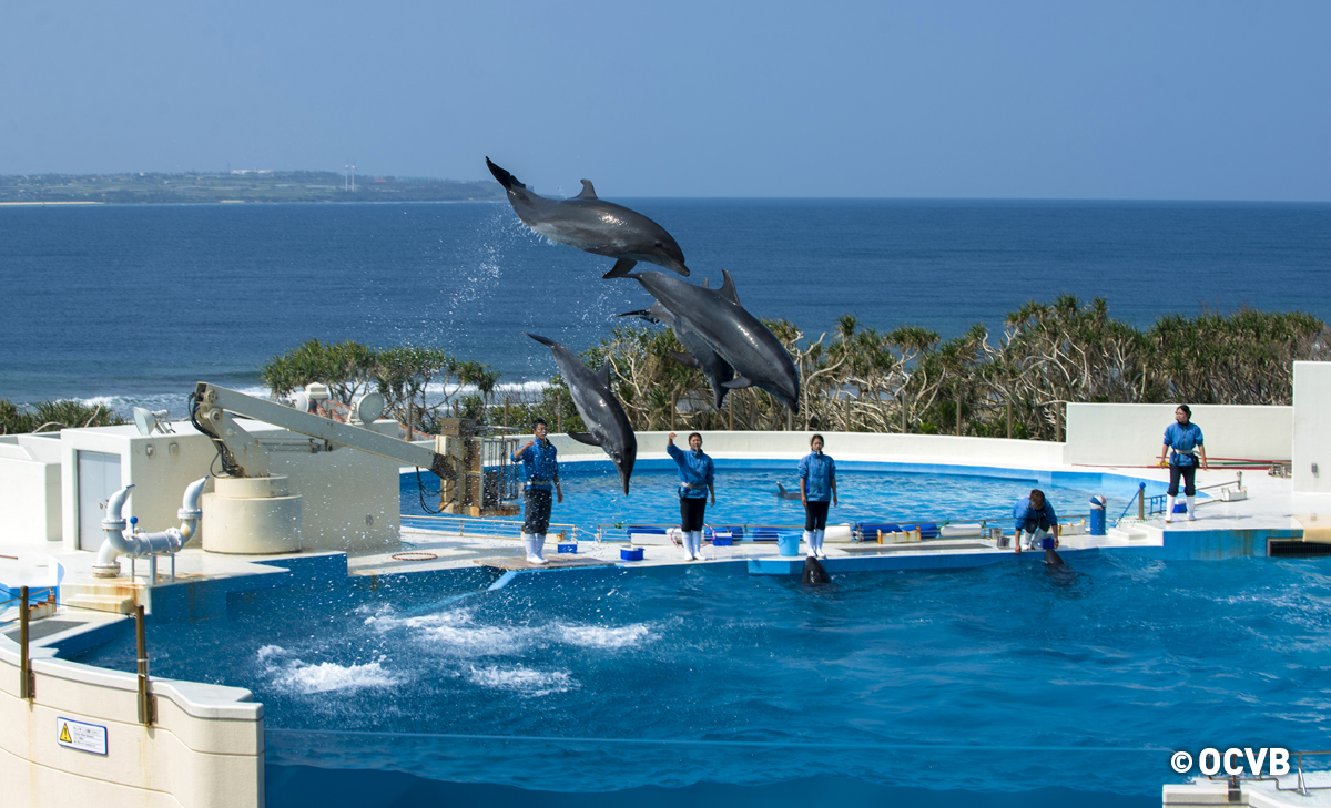 海洋博　イルカファミリー　フィギュア　ネックレス パトラ expo 沖縄 海洋博公園 | Feel 沖縄