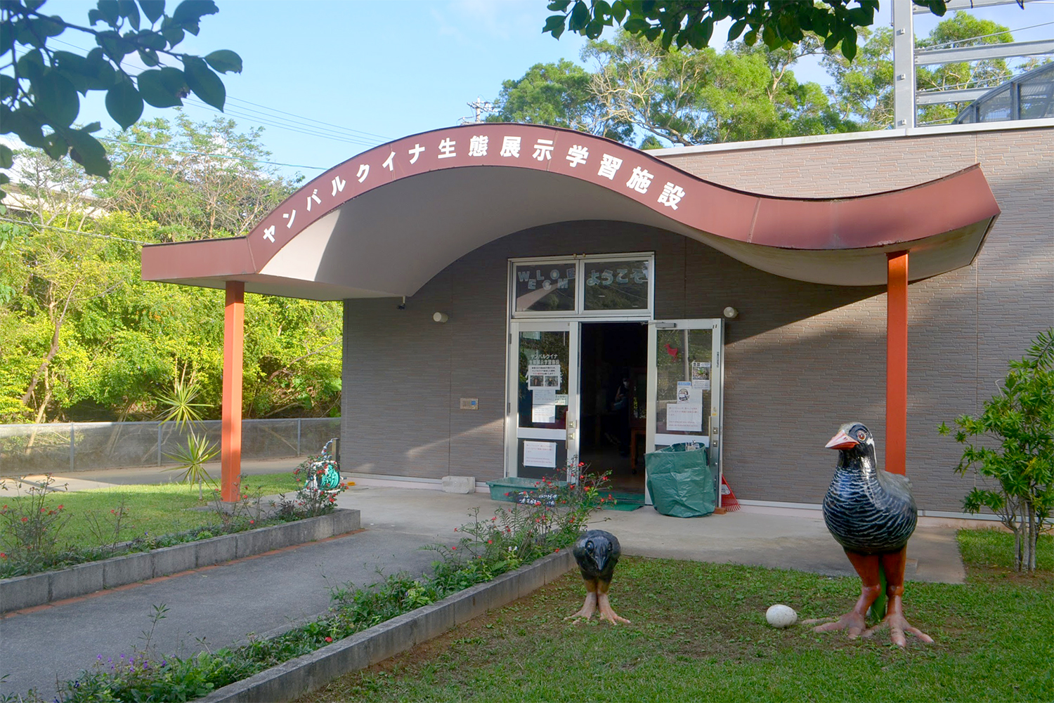 拜訪珍稀的可愛天然紀念物！來到「山原水雞生態展示學習設施」認識山原水雞