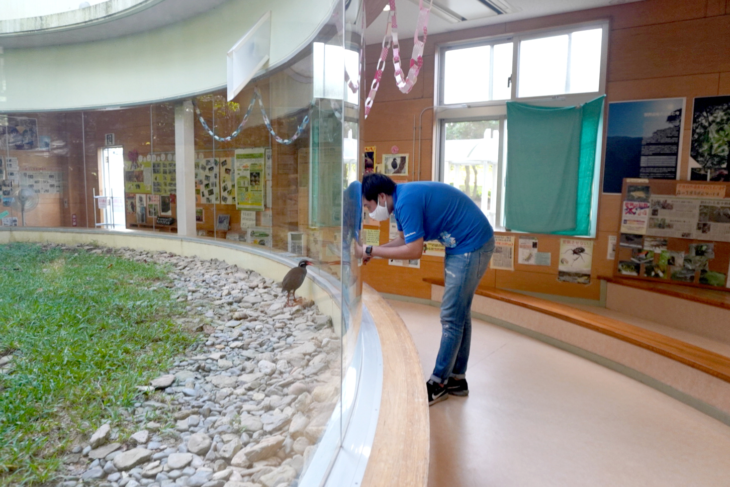 山原水雞生態展示學習設施
