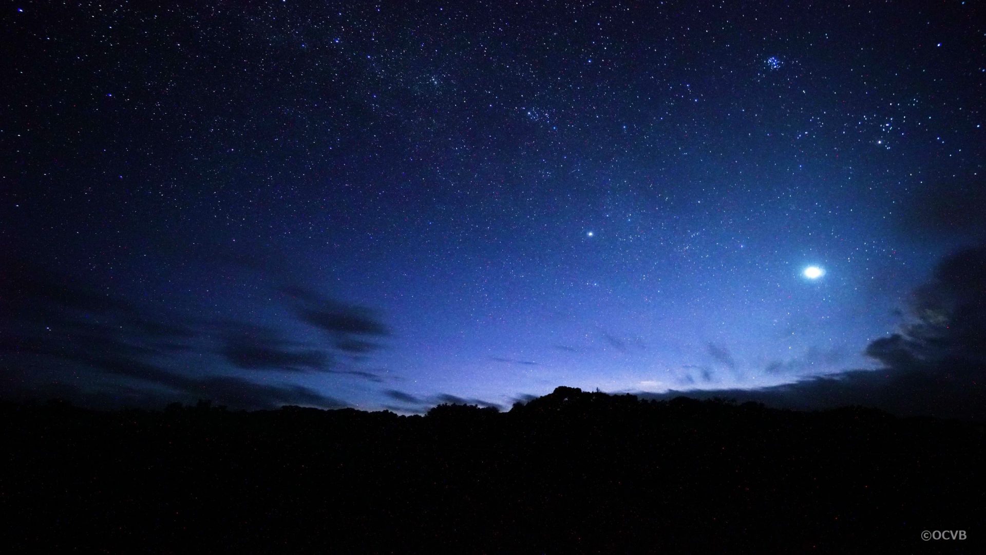 西表島　アクティビティ　星空観察