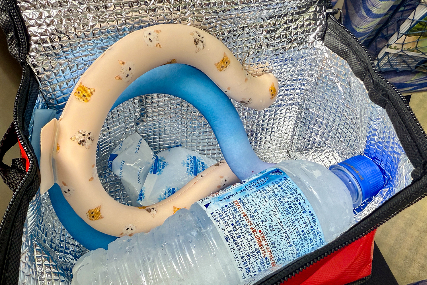 地元目線で夏場のおすすめ持ち物