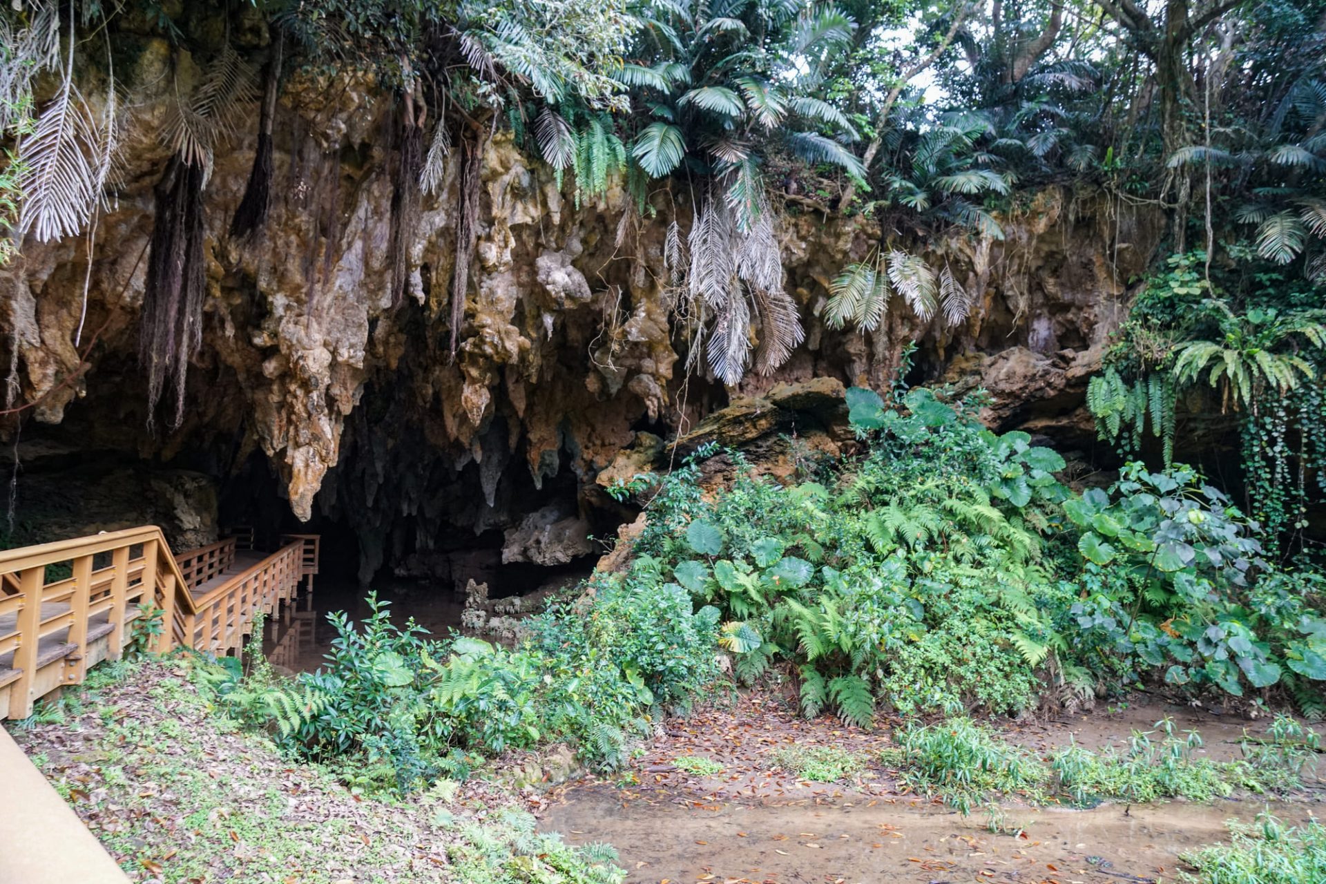 沖縄　鍾乳洞　洞窟　歴史　自然　旅行　観光