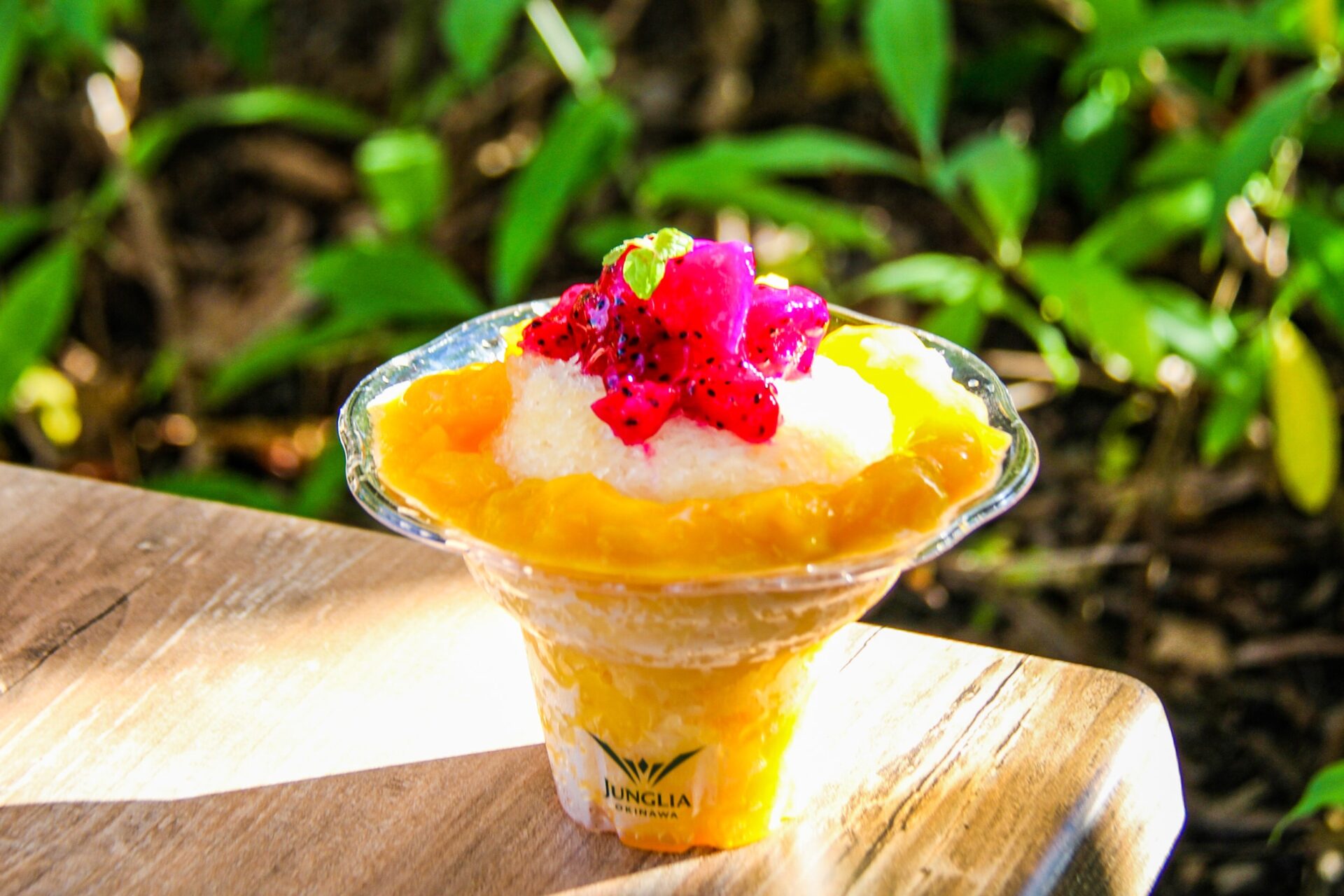 ジャングリア沖縄　今帰仁村　テーマパーク　旅行　観光　ワイルドバンケット　トロピカルスノーアイス　かき氷