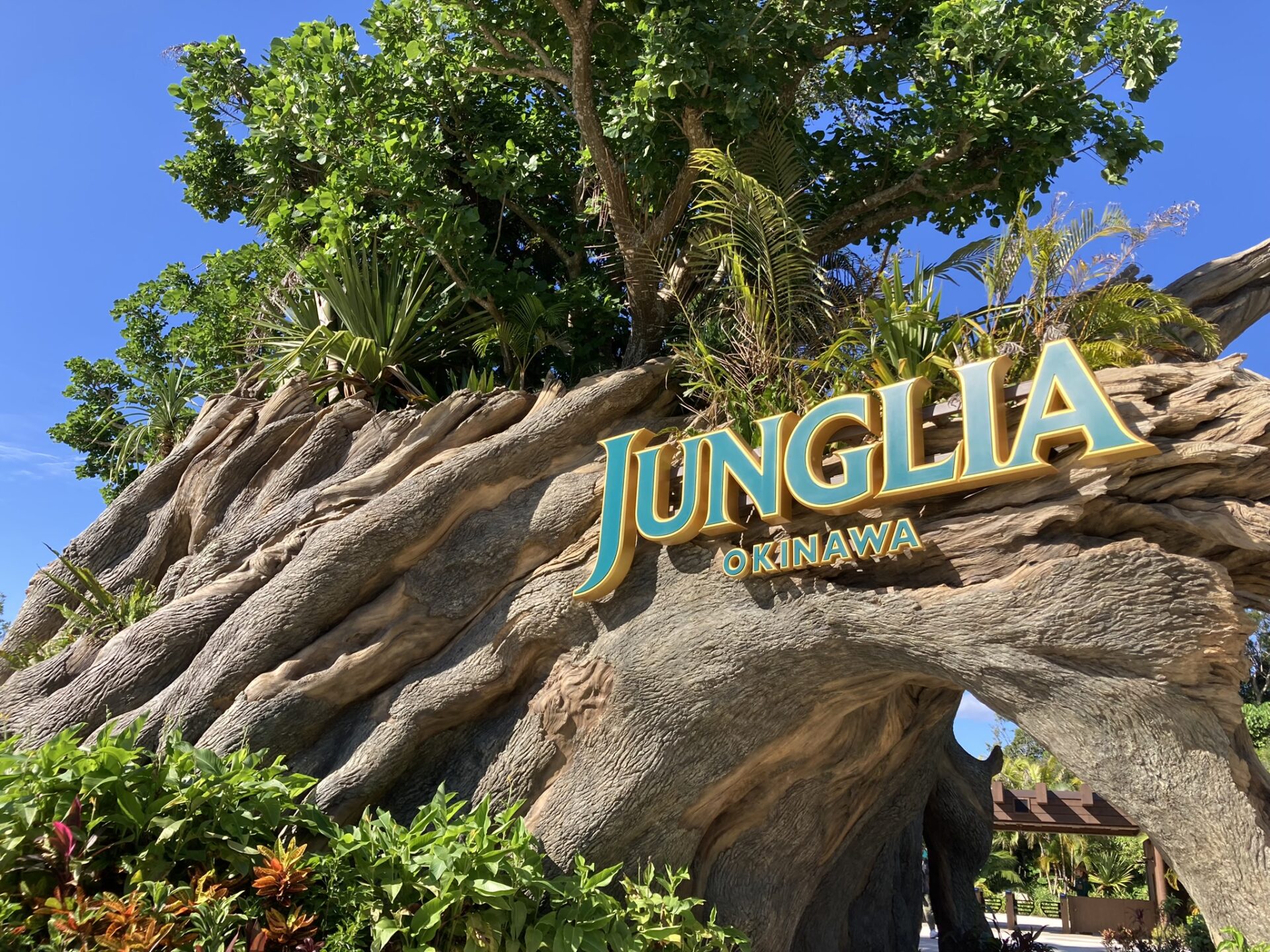 ジャングリア沖縄　今帰仁村　テーマパーク　旅行　観光　入口　ツリー
