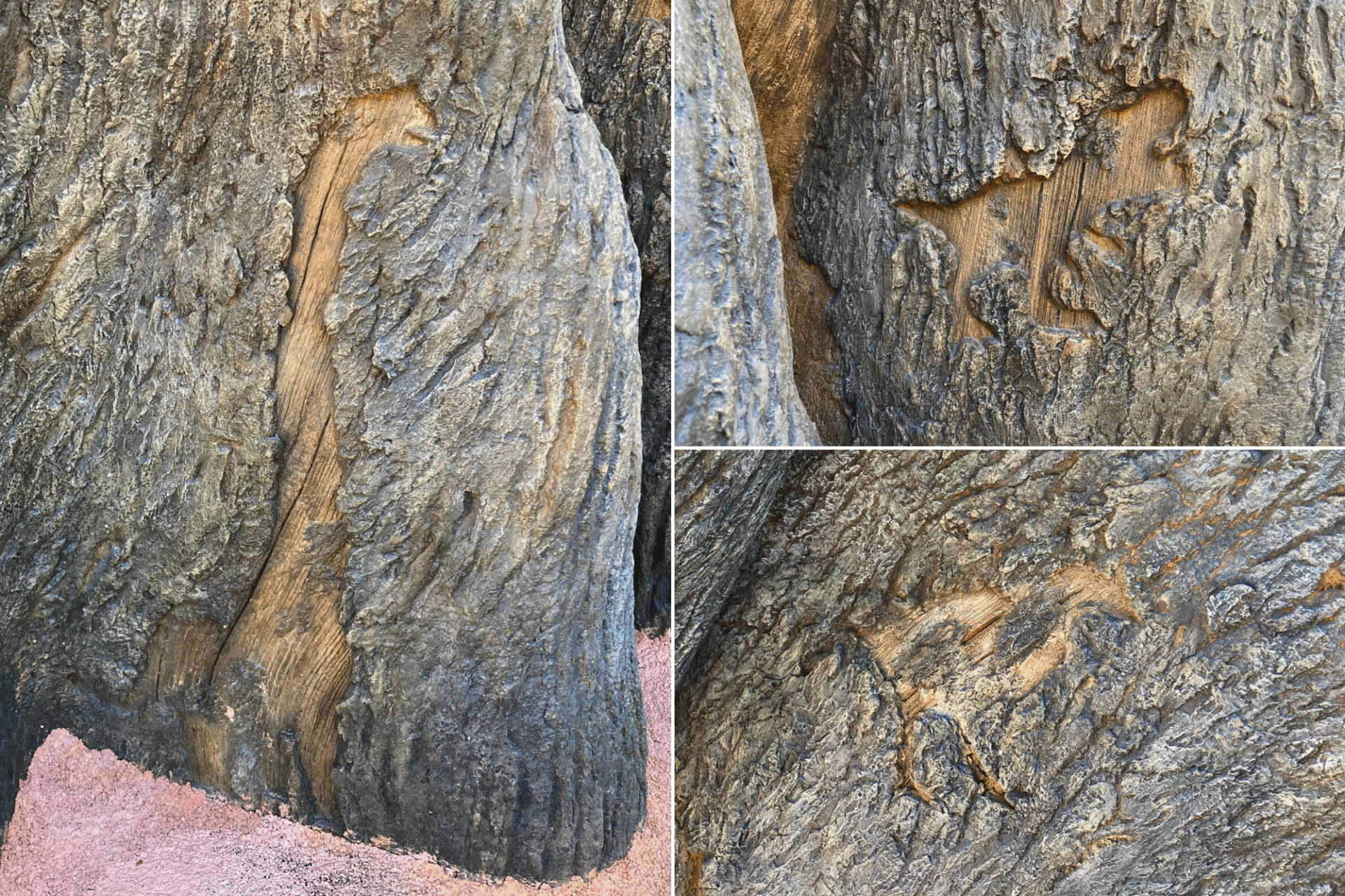 ジャングリア沖縄　今帰仁村　テーマパーク　旅行　観光　ツリー