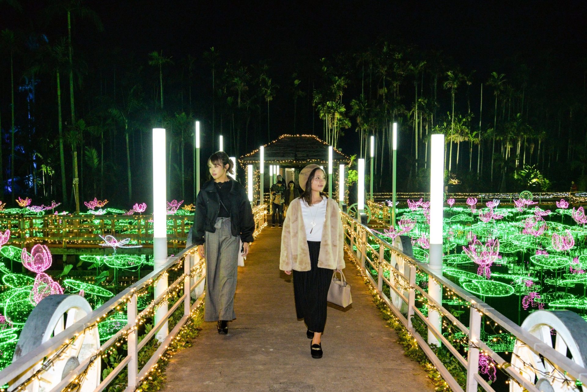 沖縄市のイルミネーション ひかりの散歩道 19 夜の東南植物楽園で幻想的な時間を過ごす 沖縄の観光情報はfeel Okinawa