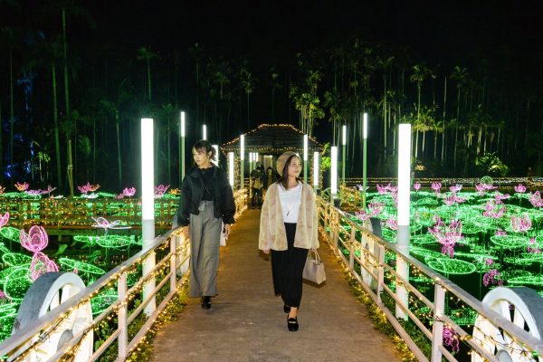 沖縄市 イルミネーション ひかりの散歩道 2019 2020 東南植物楽園