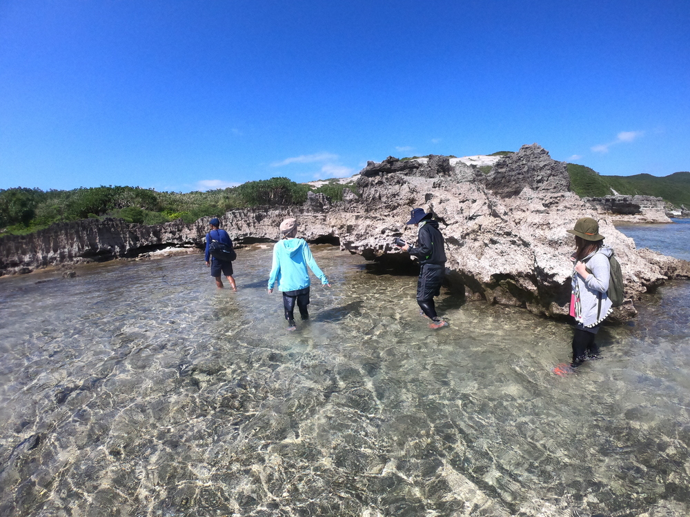 淺灘觀察　渡嘉敷島　觀光　探險旅遊　JJTour　JUMBO TOURS　慶良間群島　國家公園　離島　旅行