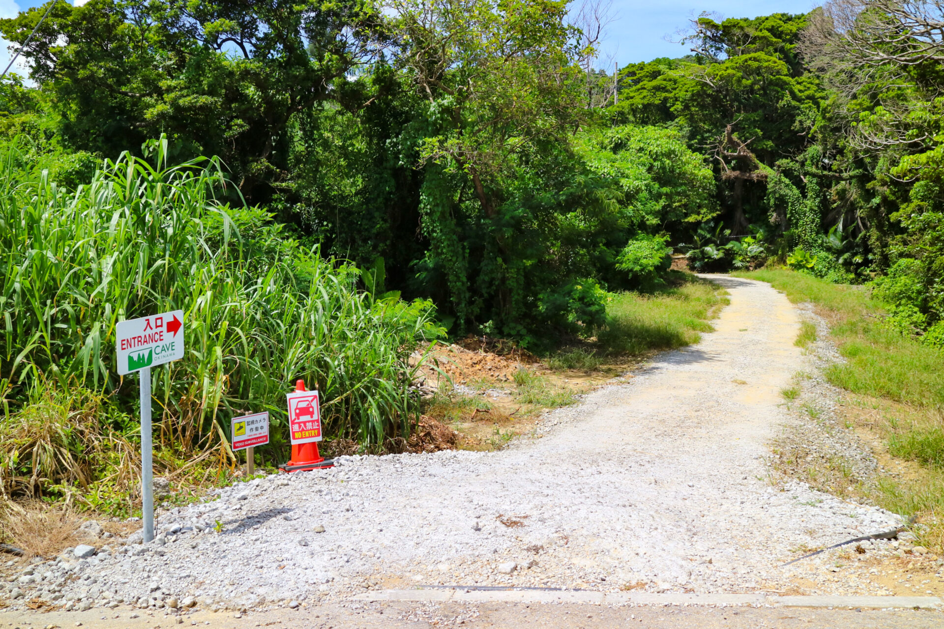 CAVE OKINAWA　うるま市　鍾乳洞　沖縄　観光　旅行