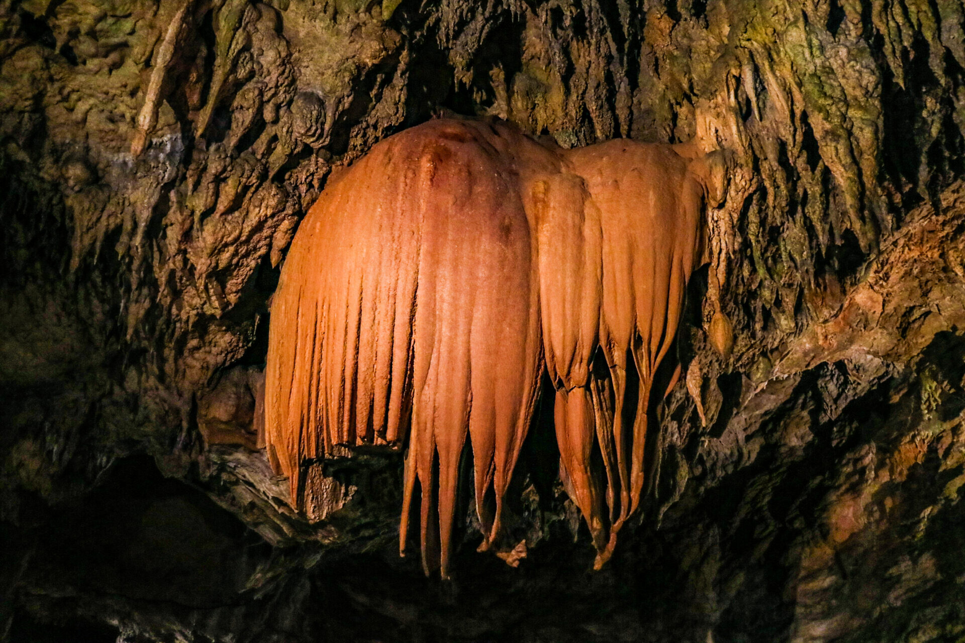 CAVE OKINAWA　うるま市　鍾乳洞　沖縄　観光　旅行