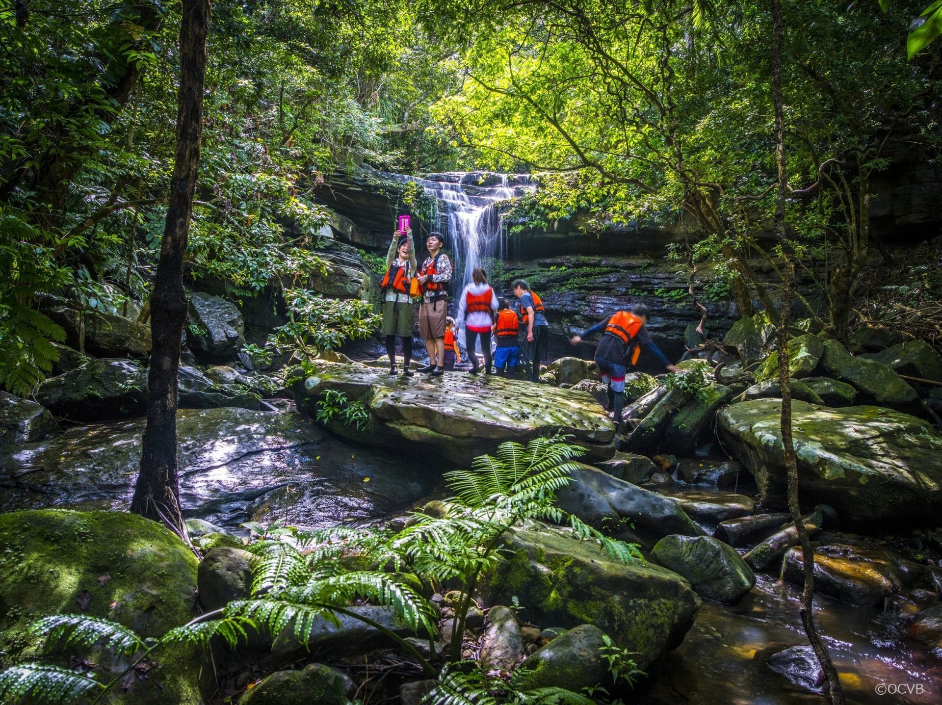 クーラの滝　西表島　滝　亜熱帯　自然　観光　旅行　沖縄　おすすめ　離島
