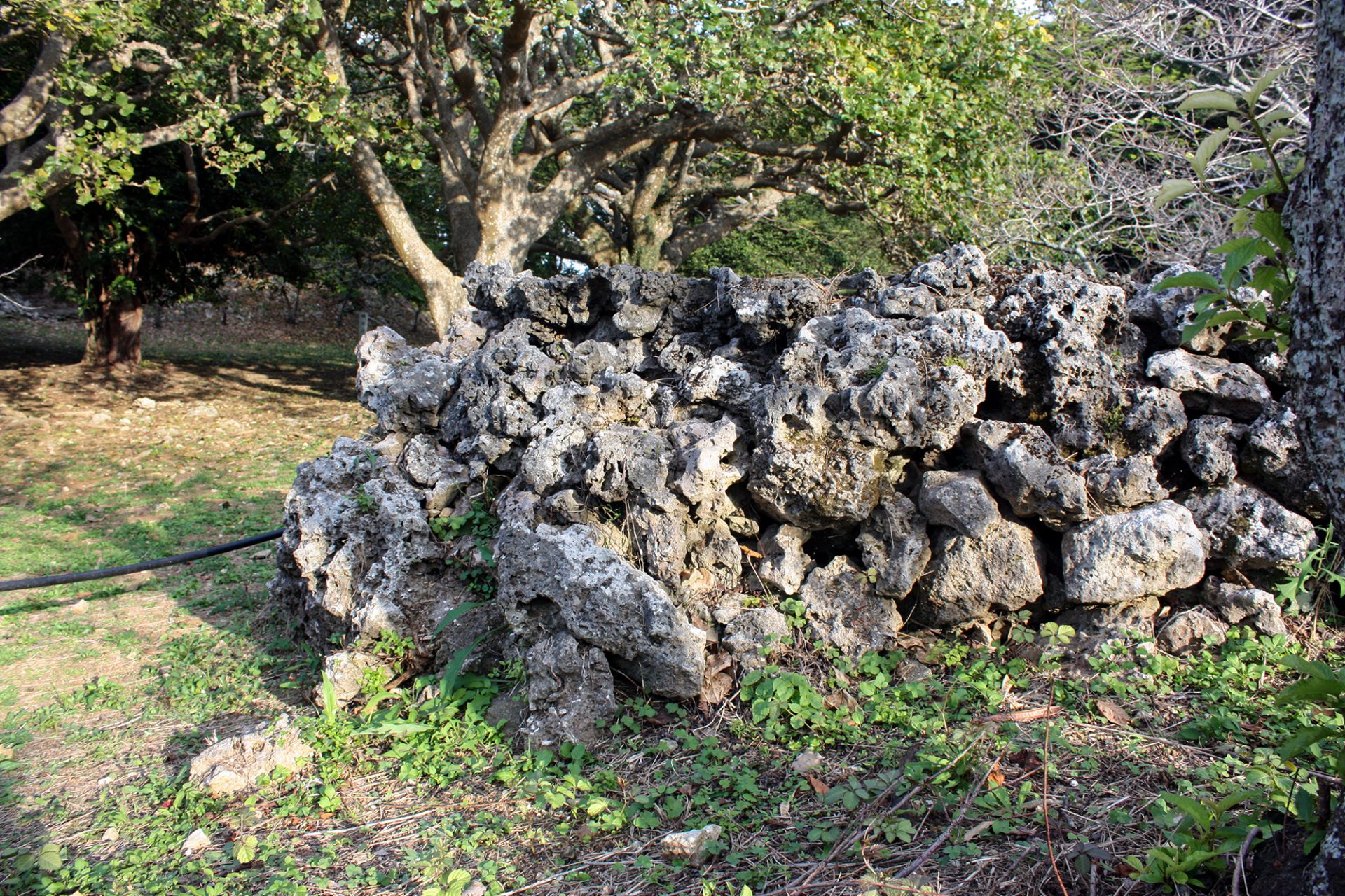 自然岩壁