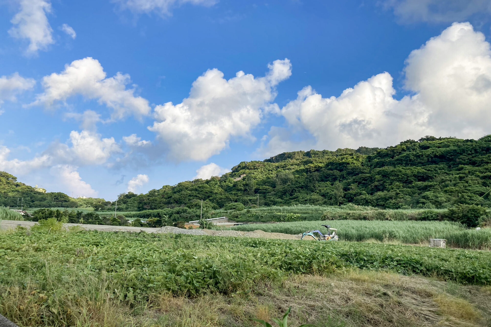 八重瀬町