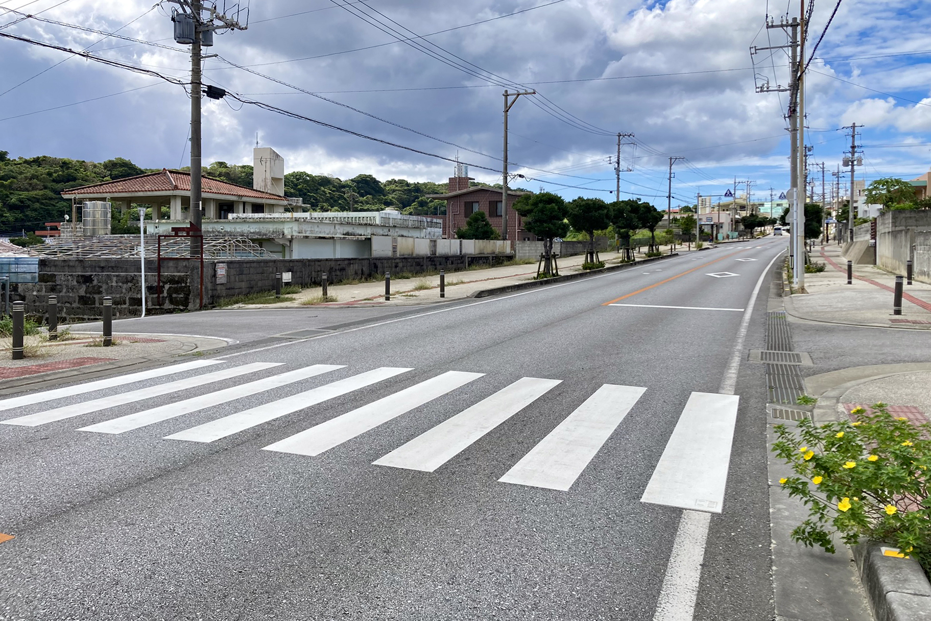 うさぎの相棒へのアクセス!レンタカーでもバスでも〇