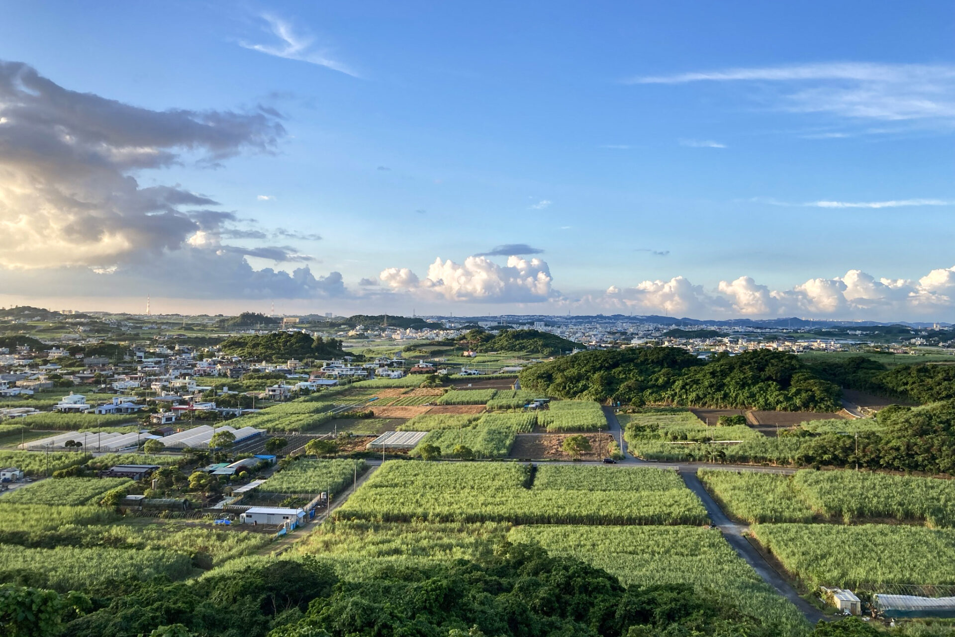 八重瀬町