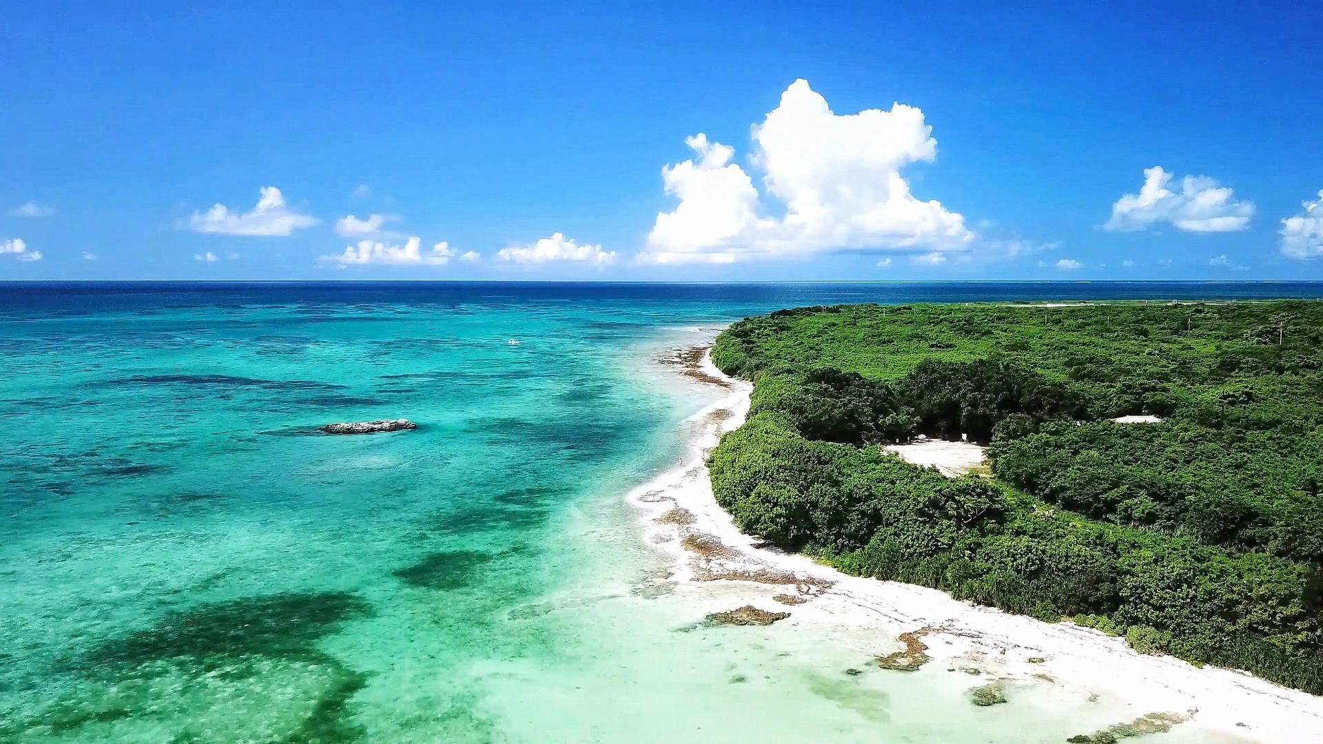 サンゴに囲まれた島 竹富島のシュノーケルツアーを紹介 沖縄の観光情報はfeel Okinawa