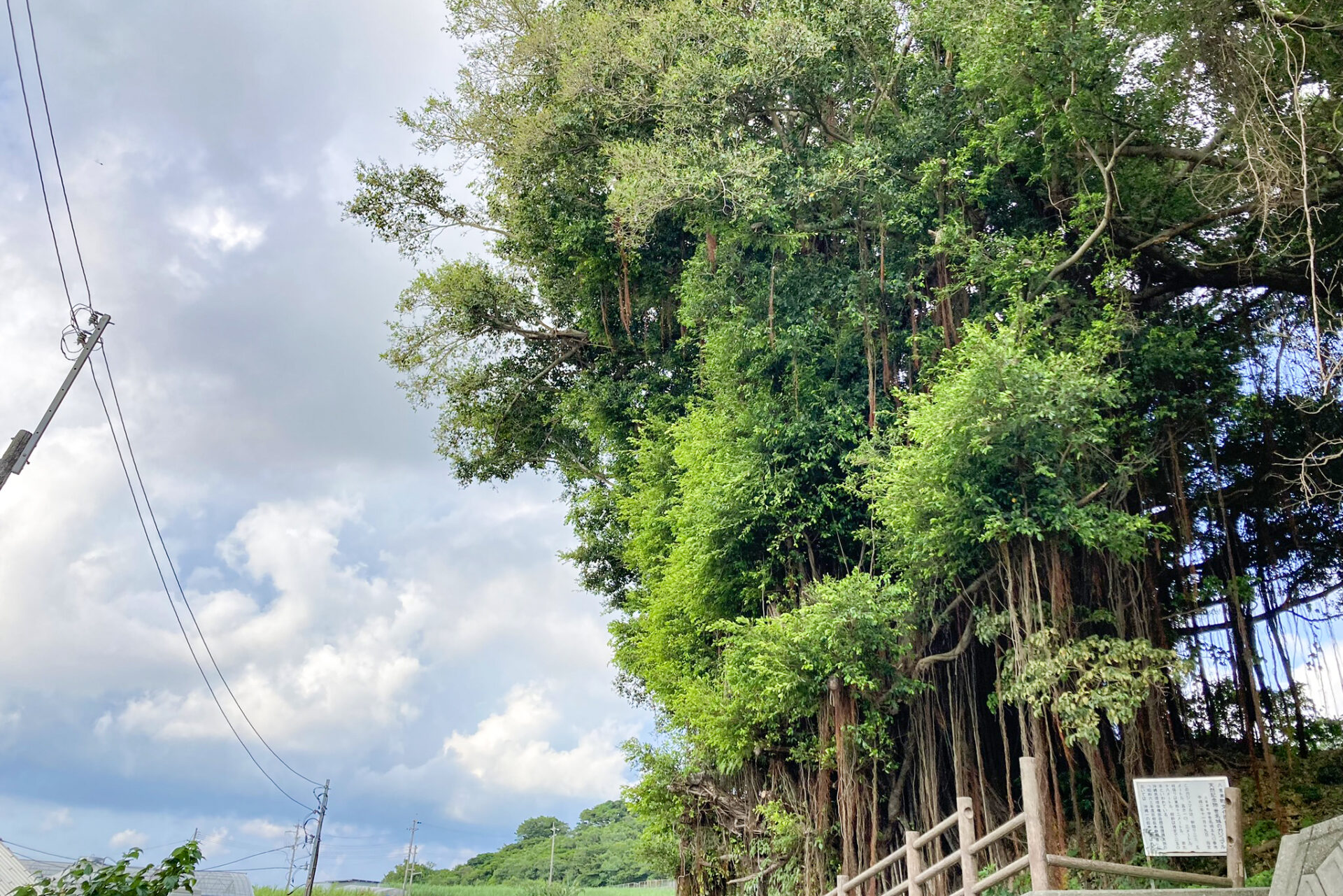 八重瀬町