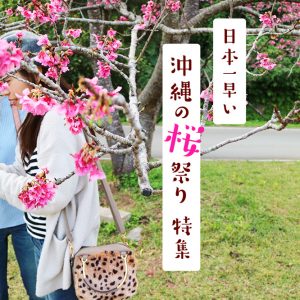 1月･2月開催！日本一早い「沖縄の桜祭り」特集