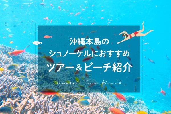 沖縄本島のシュノーケルにおすすめ ツアー&ビーチ紹介