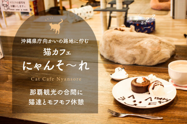 沖縄県庁向かいの路地に佇む猫カフェ「にゃんそ～れ」で那覇観光の合間に猫達とモフモフ休憩